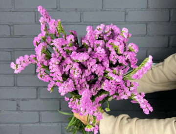 На складе новое поступление! Срезанные цветы